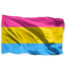 Flagge 'pansexuell' 90 x 150 cm