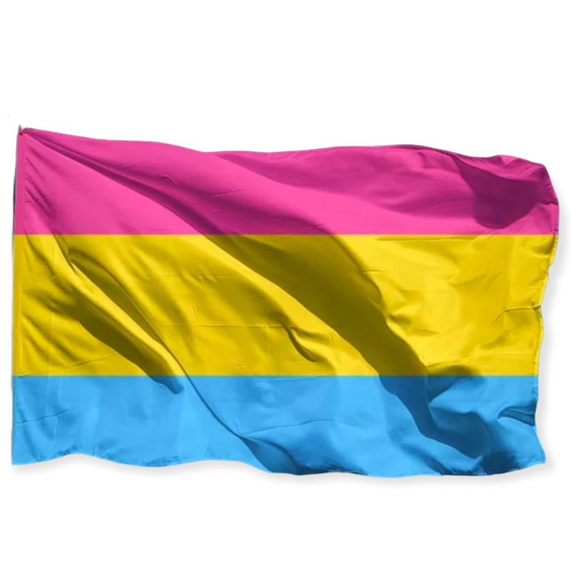 Flagge 'pansexuell' 90 x 150 cm