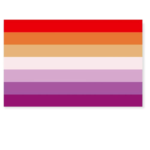 Flagge 'Lesbisch' 90 x 150 cm