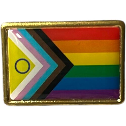 Anstecknadel (Plastik) Flagge 'All-Inclusive Pride'