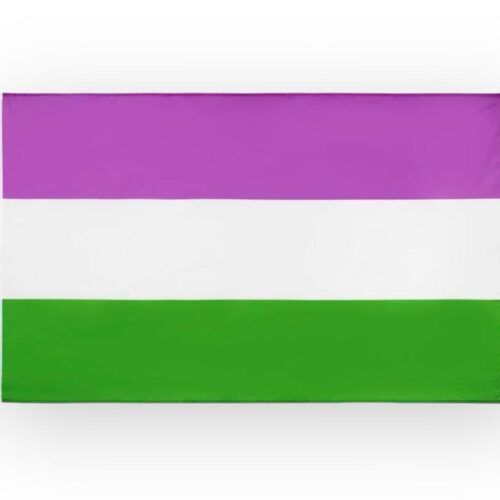 Flagge 'genderqueer' 90 x 150 cm