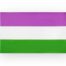 Flagge 'genderqueer' 90 x 150 cm