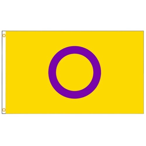 Flagge 'intersex' 90 x 150 cm