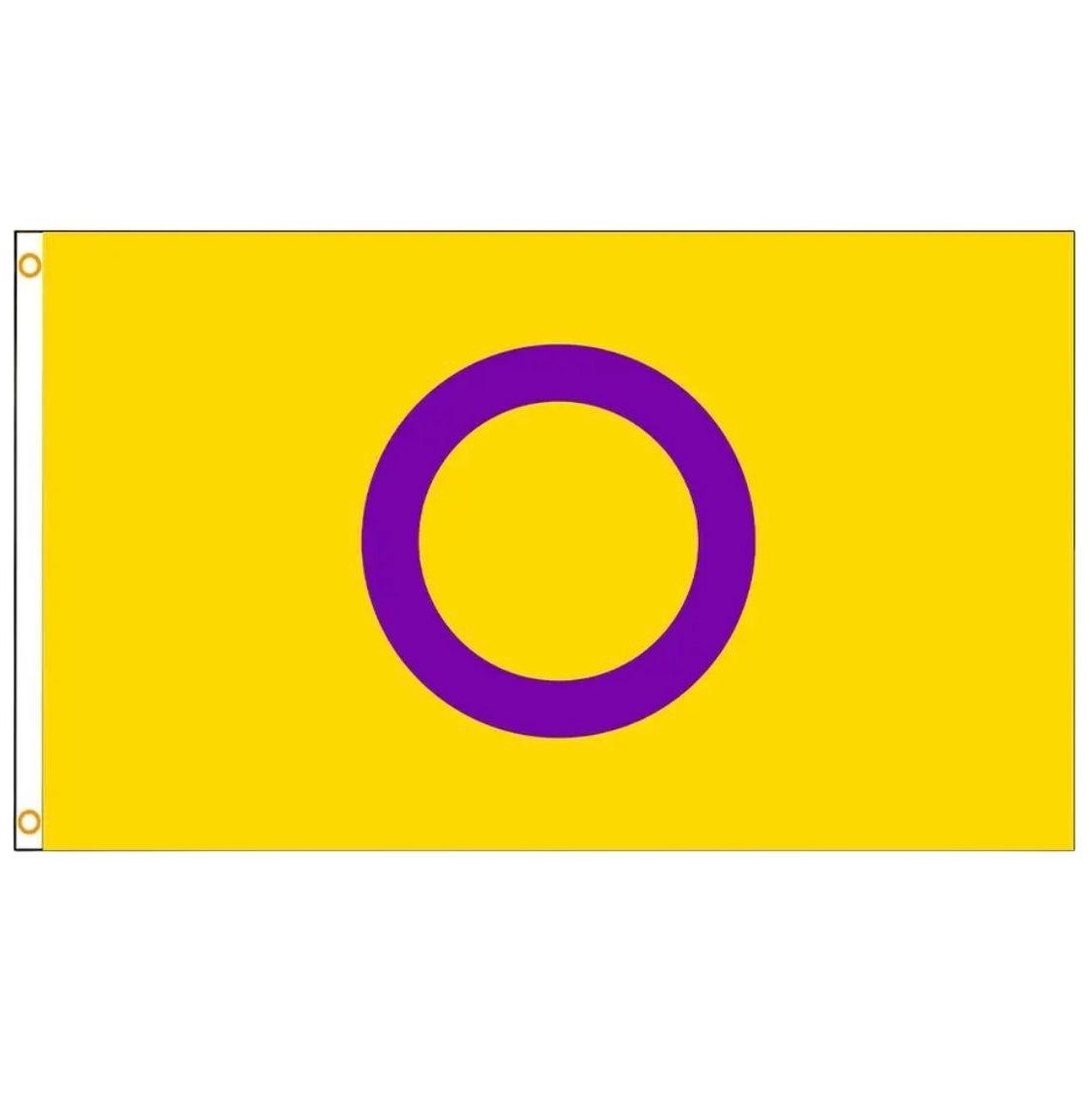 Flagge 'intersex' 90 x 150 cm