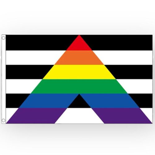 Flagge 'straight ally' 90 x 150 cm