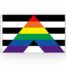 Flagge 'straight ally' 90 x 150 cm
